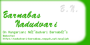 barnabas nadudvari business card